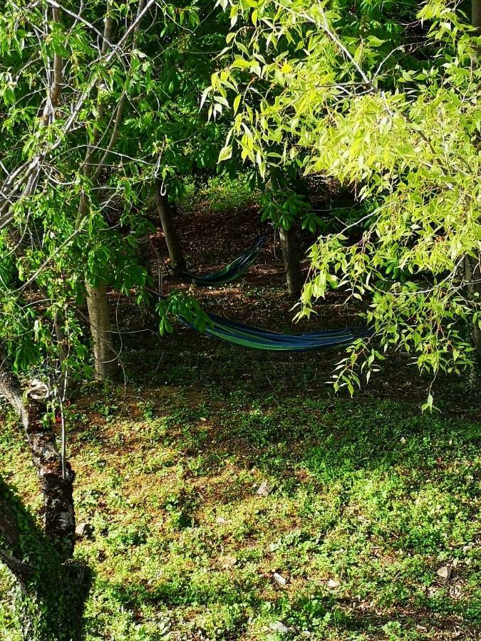 アッシジ Agriturismo Il Nocetoヴィラ エクステリア 写真