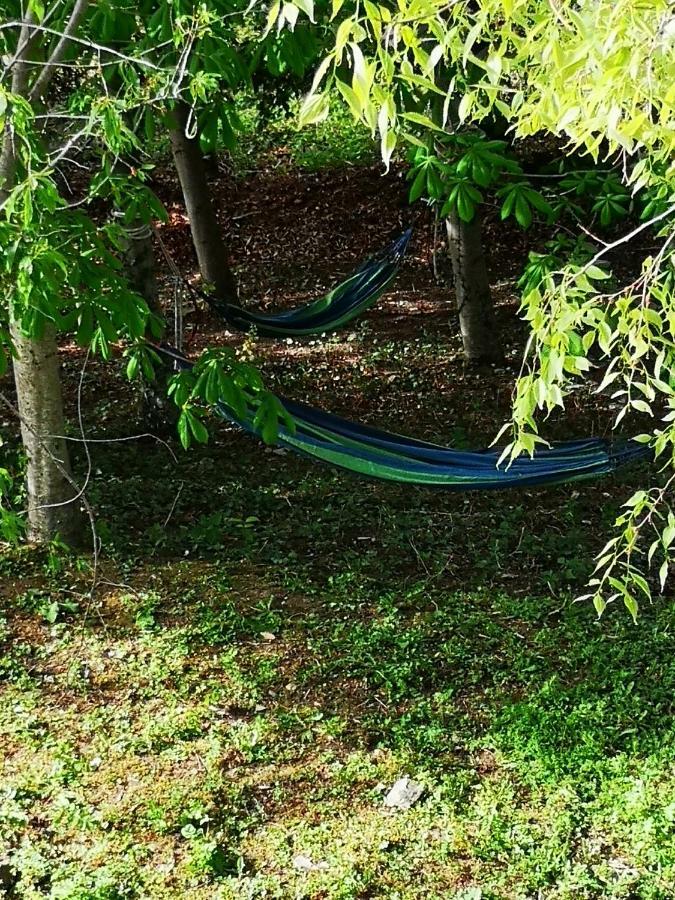 アッシジ Agriturismo Il Nocetoヴィラ エクステリア 写真