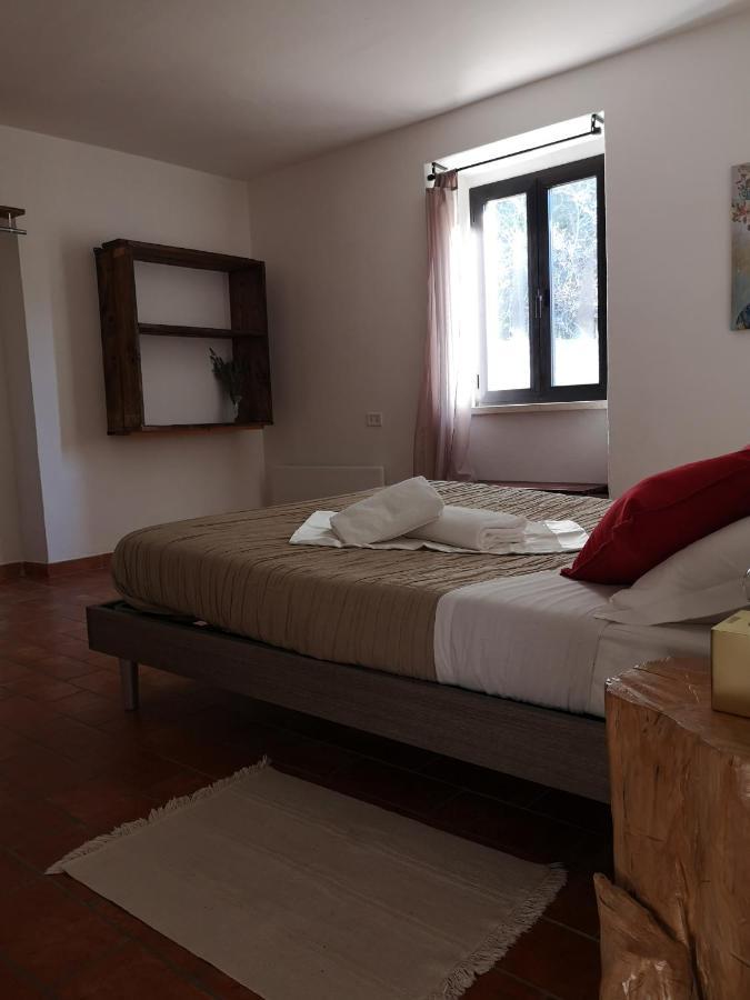 アッシジ Agriturismo Il Nocetoヴィラ エクステリア 写真