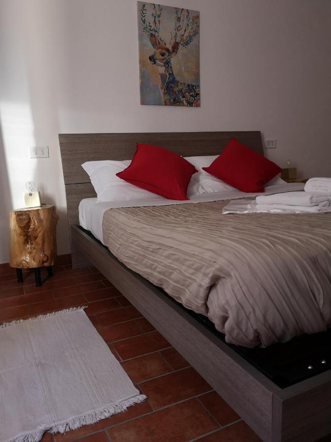 アッシジ Agriturismo Il Nocetoヴィラ エクステリア 写真