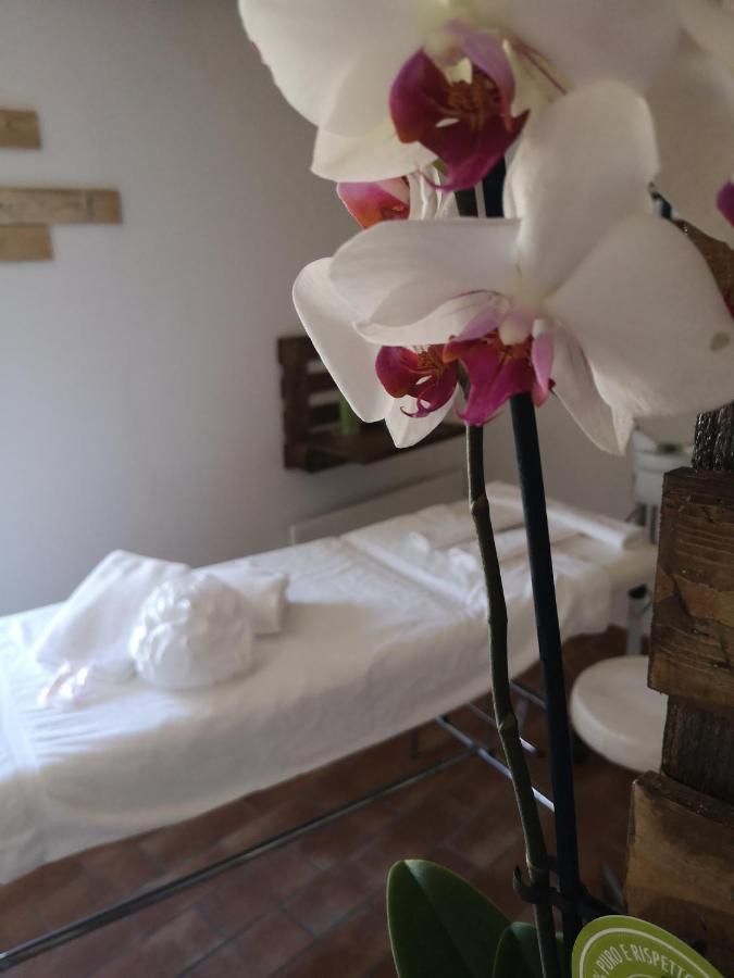 アッシジ Agriturismo Il Nocetoヴィラ エクステリア 写真